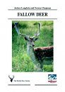 Fallow Deer