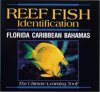 Reef Fish Identification