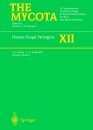 The Mycota, Volume 12: Human Fungal Pathogens