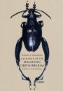Catalogue of the Malaysian Chrysomelidae (Insecta: Coleoptera)