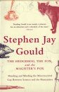 The Hedgehog, the Fox and the Magister's Pox