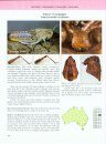 A Guide to Australian Grasshoppers and Locusts