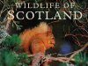 Wildlife of Scotland