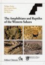 The Amphibians and Reptiles of the Western Sahara