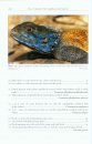 The Amphibians and Reptiles of the Western Sahara