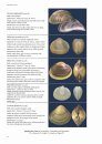Freshwater Bivalves of Britain and Ireland