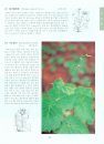 Coloured Flora of Korea [Korean] (3-Volume Set)