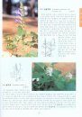 Coloured Flora of Korea [Korean] (3-Volume Set)
