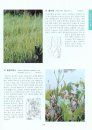 Coloured Flora of Korea [Korean] (3-Volume Set)