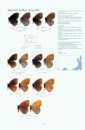 Satyrinae Part 2 (Guide to the Butterflies of the Palearctic Region)