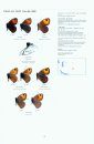 Satyrinae Part 2 (Guide to the Butterflies of the Palearctic Region)