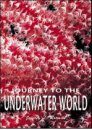Journey to the Underwater World