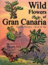 Wild Flowers of Gran Canaria