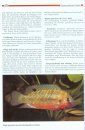 Die Cichliden des Westlichen Afrikas [The Cichlids of West Africa]