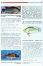 Die Cichliden des Westlichen Afrikas [The Cichlids of West Africa]