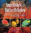 Reef Fishes, Volume 3: Angelfishes and Butterflyfishes