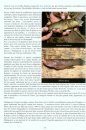 Les Cichlids Endemiques de Madagascar [The Endemic Cichlids of Madagascar]