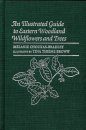 An Illustrated Guide to Eastern Woodland Wildflowers & Trees
