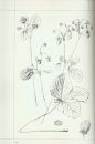 A.N. Duchesne's Drawings for his Histoire Naturelle des Fraisiers / Les Dessins d'A.N. Duchesne pour son Histoire Naturelle des Fraisiers