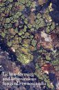 Lichen-Forming and Lichenicolous Fungi of Fennoscandia
