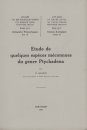 Étude de Quelques Espèces Méconnues du Genre Ptychadena [Study of Some Unknown Species of the Genus Ptychadena]