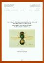 Revision of the Afrotropical Genus Microchrysa Loew, 1855 (Diptera: Stratiomyidae, Subfamily Sarginae)