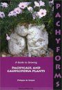 Pachyforms: A Guide to Growing Pachycaul and Caudiciform Plants