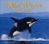 Killer Whales of the World