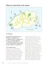 A Guide to the Birds of St Helena and Ascension Island