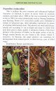 Pocket Guide: Pitcher Plants of Sarawak