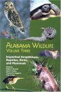 Alabama Wildlife, Volume 3: Imperiled Amphibians, Reptiles, Birds, and Mammals