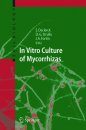 In Vitro Culture of Mycorrhizas