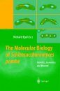 The Molecular Biology of Scizosaccharomyces Pombe