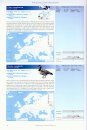 Birds in Europe