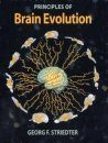 Principles of Brain Evolution