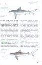 Coastal Fishes of Southern Africa