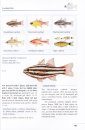Coastal Fishes of Southern Africa