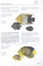 Coastal Fishes of Southern Africa