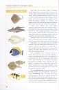 Coastal Fishes of Southern Africa