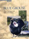 Blue Grouse