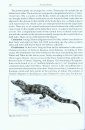 Crocodilians: Their Natural History & Captive Husbandry