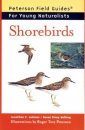 Peterson Field Guide for Young Naturalists: Shorebirds