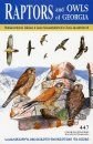 Raptors and Owls of Georgia [English / Georgian]