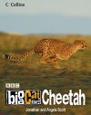 Big Cat Diary: Cheetah