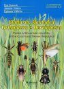 Blattaria, Mantodea, Orthoptera and Dermaptera of the Czech and Slovak epublics - Illustrated Key