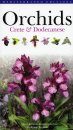 Orchids: Crete and Dodecanese