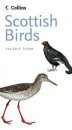 Collins Guide to Scottish Birds