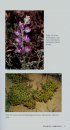 Introduction to the Plant Life of Southern California