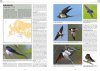 Handbook of Western Palearctic Birds: Passerines (2-Volume Set)