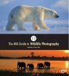 The Essential Guide to Wildlife Photography